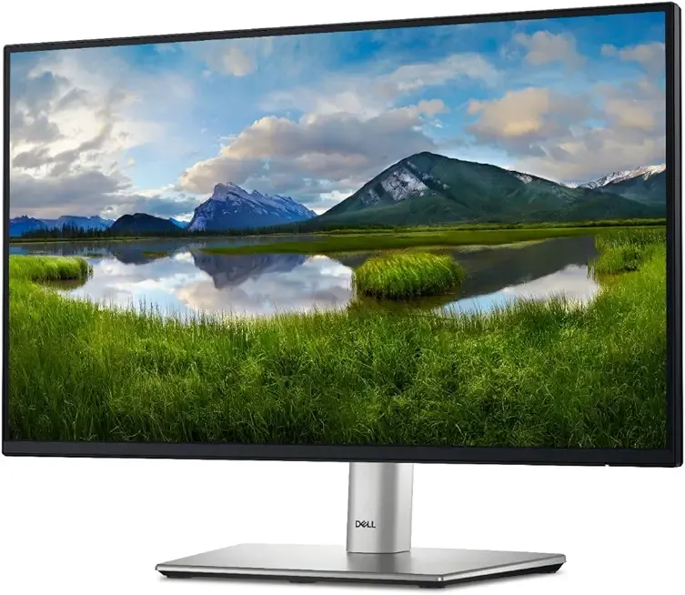 24 Monitor - P2422H - Full HD 1080p, IPS Technology, ComfortView Plus Technology