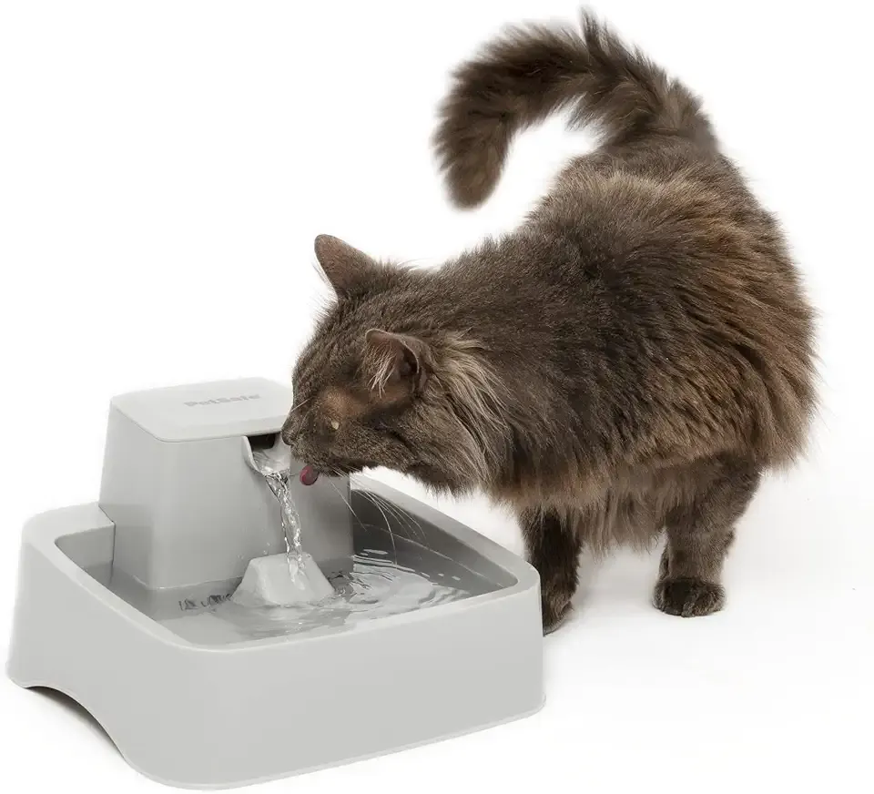 PetSafe Oasys 1/2 Gallon Pet Fountain - Cat & Dog Hydration Station with Free-Falling Water Stream & Customizable Flow - Encourages Hydration & Protects Sensitive Whiskers - 1/2 Gallon