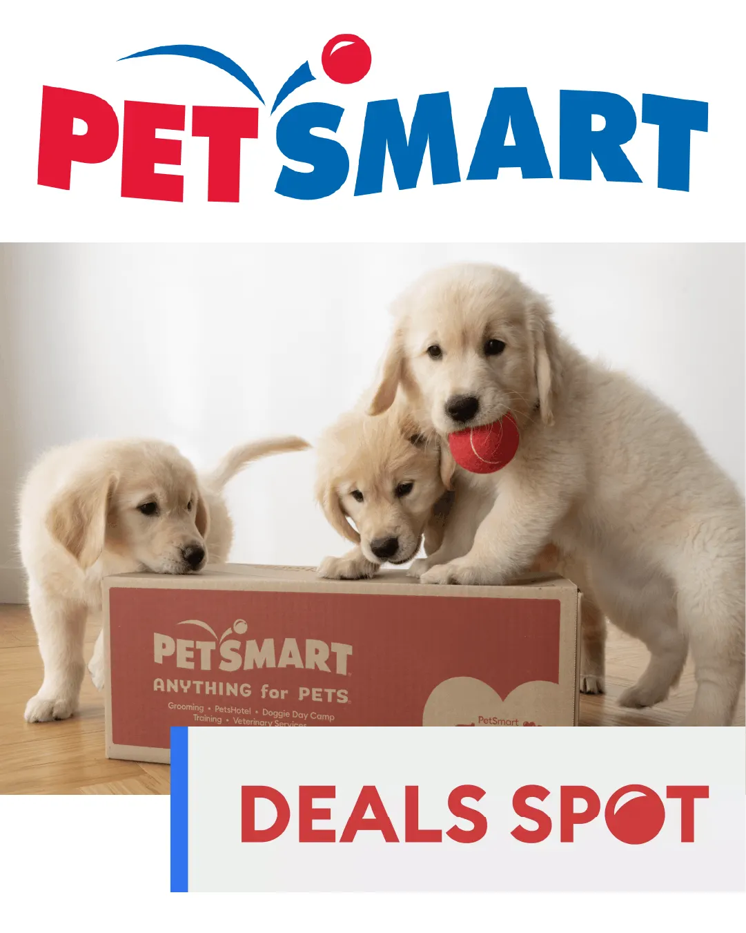 PetSmart sales