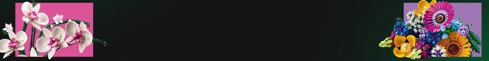 The Insect Collection