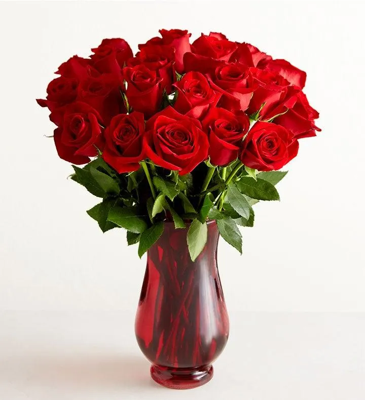 Two Dozen Red Roses